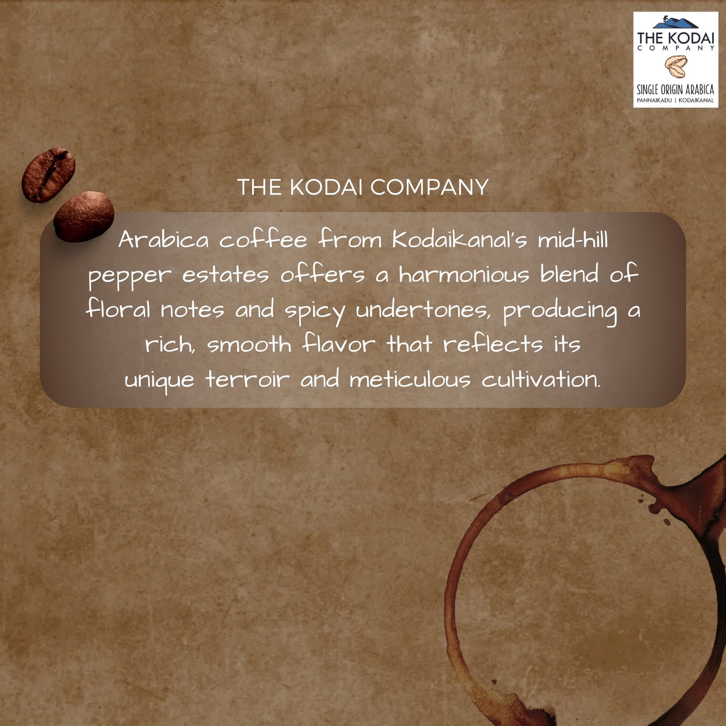 The Kodai Company Single Origin Arabica Coffee - French Press and Espresso