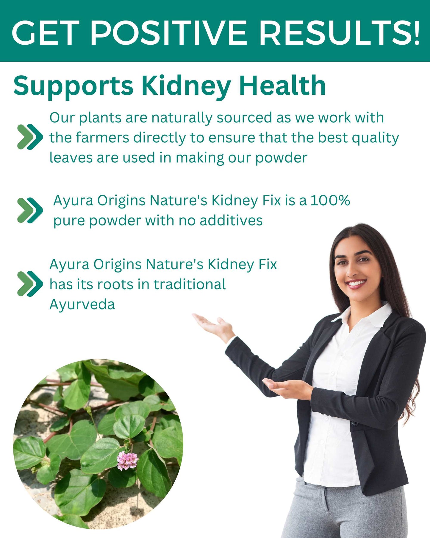 AYURA ORIGINS Nature's Kidney Fix 100gm 50 servings
