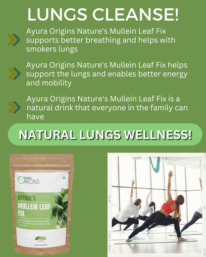 AYURA ORIGINS Nature's Mullein Leaf Fix 50gm 25 Servings